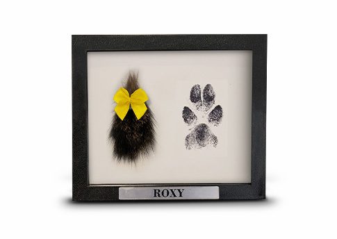 Framed Ink Paw Print with Fur Clipping Image