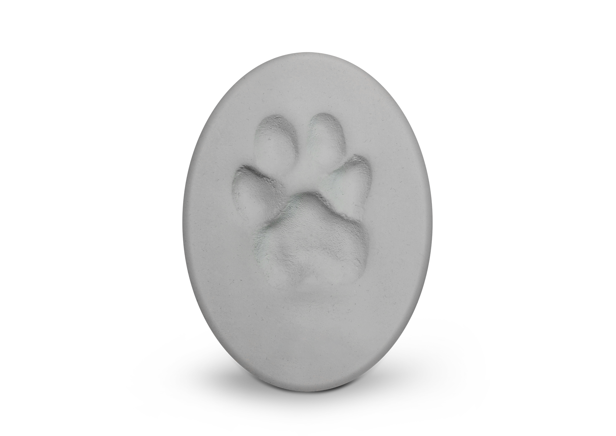 Clay Paw Print - Silver Image