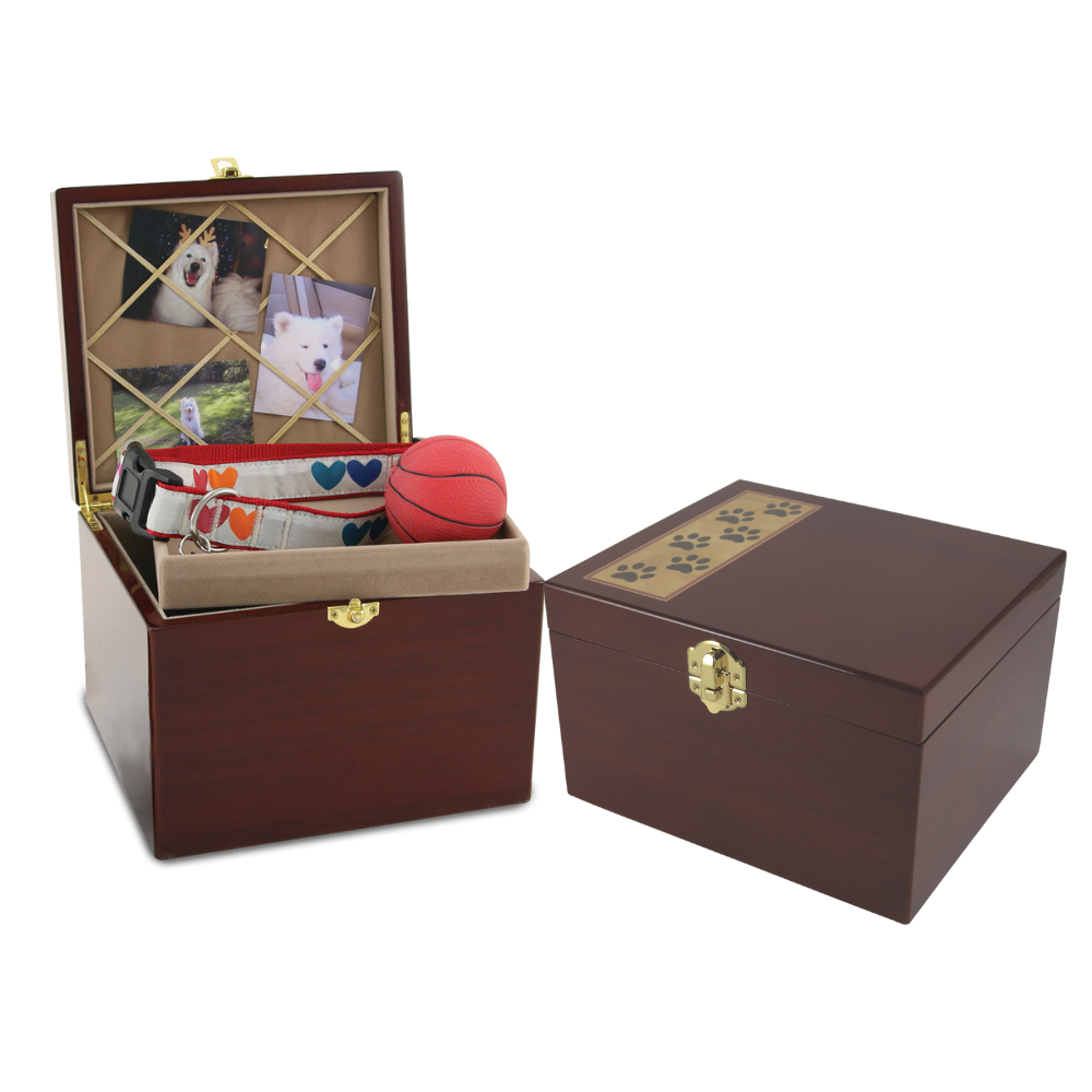 Memory Chest-image